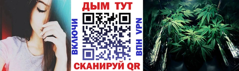 hydra сайт  Шахунья  Бошки марихуана тримм 